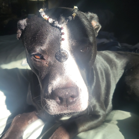 Hekate prayer beads. Made with real rattlesnake vertebrae,  genuine gemstones - Picture 6 of 7